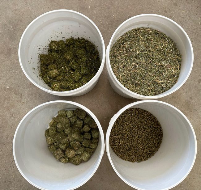 hay-cubes-keep-horses-eating-longer